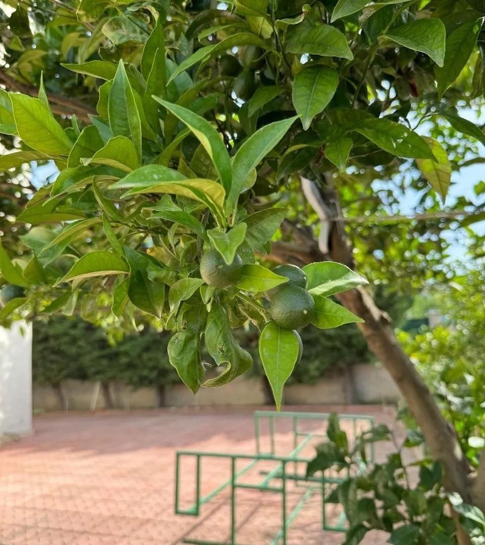 Vlorë Vila Violeta 2